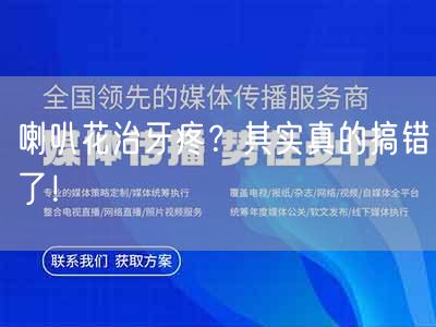 喇叭花治牙疼？其实真的搞错了！