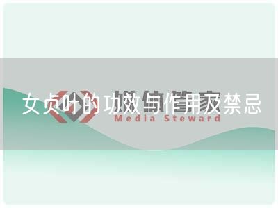 女贞叶的功效与作用及禁忌