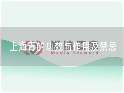 上海青的功效与作用及禁忌