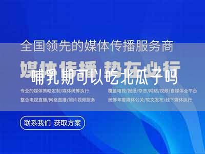 哺乳期可以吃北瓜子吗