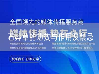 石莽草的功效与作用及禁忌(图1)