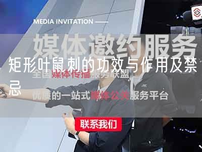 矩形叶鼠刺的功效与作用及禁忌