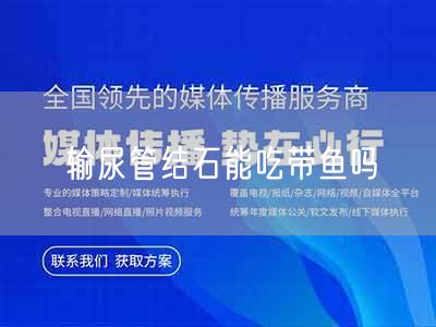 输尿管结石能吃带鱼吗