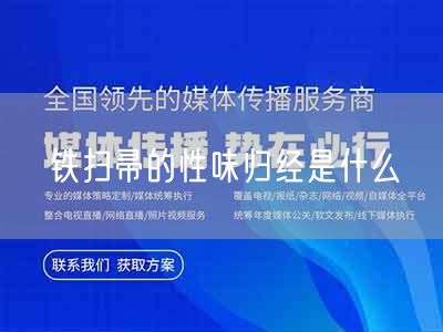 铁扫帚的性味归经是什么