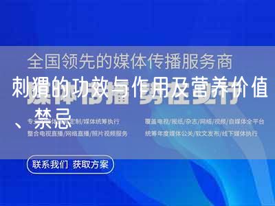 刺猬的功效与作用及营养价值、禁忌