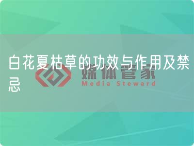 白花夏枯草的功效与作用及禁忌