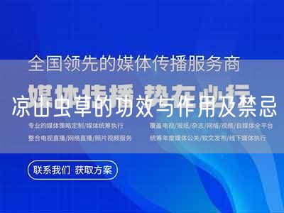 凉山虫草的功效与作用及禁忌