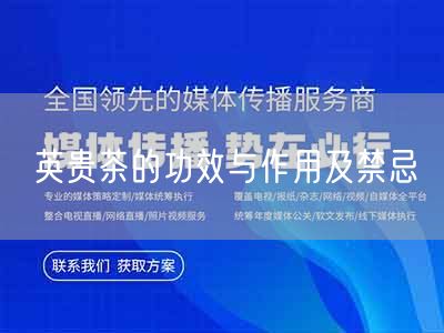 英贵茶的功效与作用及禁忌