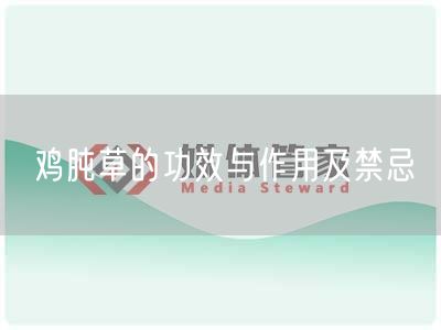 鸡肫草的功效与作用及禁忌