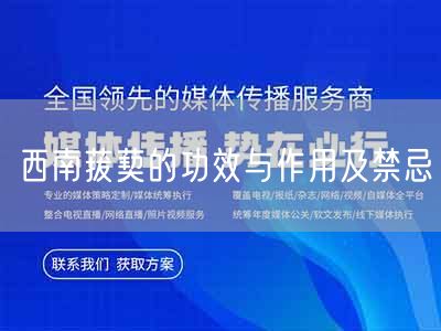 西南菝葜的功效与作用及禁忌