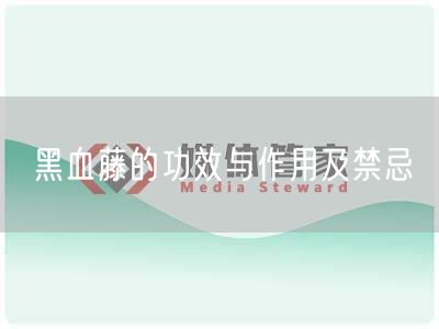 黑血藤的功效与作用及禁忌