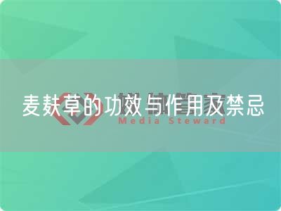 麦麸草的功效与作用及禁忌