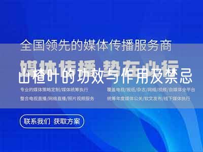 山楂叶的功效与作用及禁忌