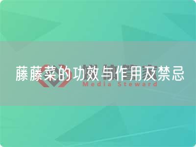 藤藤菜的功效与作用及禁忌(图1)