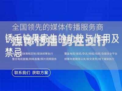 锈毛钝果寄生的功效与作用及禁忌(图1)