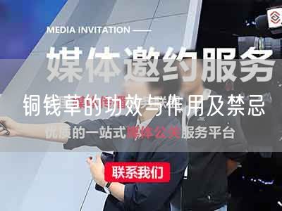 铜钱草的功效与作用及禁忌