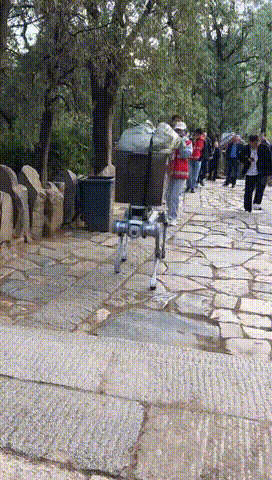 山东一只“机器狗”火遍全网!确实厉害→(图1) 山东一只“机器狗”火遍全网!确实厉害→(图1)