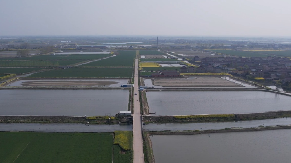 媒体管家: 运满满助力“农村公路+产业” 铺就乡村振兴“快车道”(图1) 媒体管家: 运满满助力“农村公路+产业” 铺就乡村振兴“快车道”(图1)