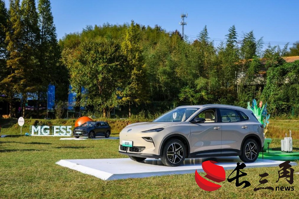 媒体管家： 欧盟高筑“关税围墙” 中国车企多维度出海谋破局(图1)