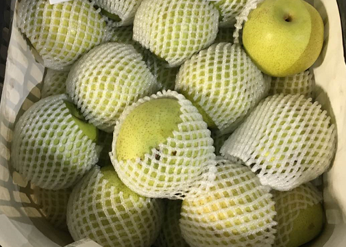 三未科技产销对接成果突显 砀山梨热销近200吨(图2) 三未科技产销对接成果突显 砀山梨热销近200吨(图2)