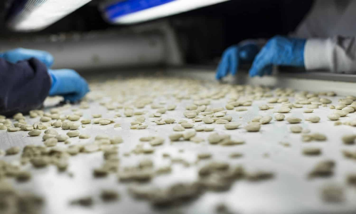 欧洲坚果巨头Itac正式进驻中国市场(图2)