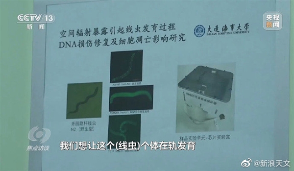 顺利交付！神十五航天员带回了20多公斤实验样品：竟有一种虫子(图3)